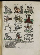 Leopoldus de Austria